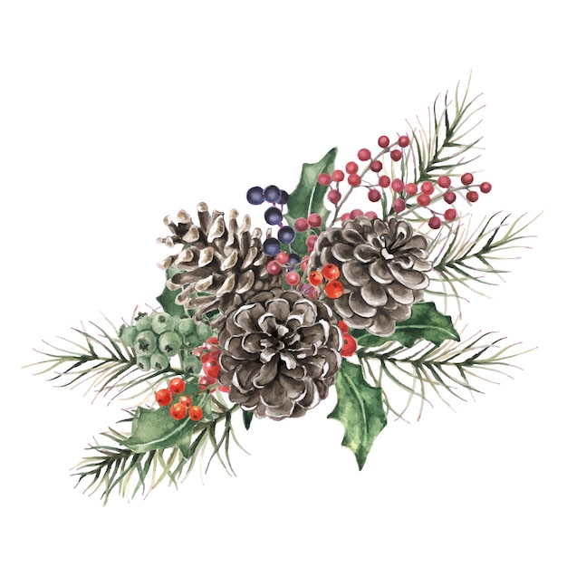 Акварельная рождественская иллюстрация с еловыми шишками и листьями падуба