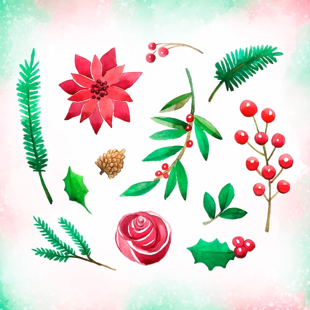 Watercolor Christmas Nature Element Collection