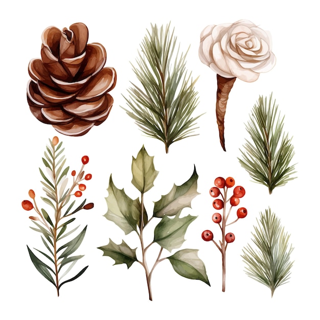 Watercolor christmas and New Year collection Botanical set elements