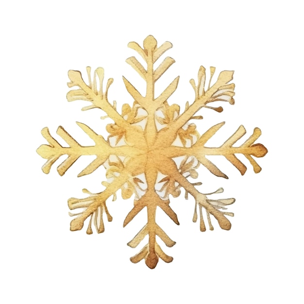 Vector watercolor christmas snowflake