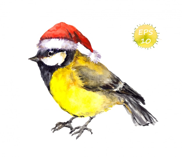 Watercolor christmas yellow tit bird in red santa hat