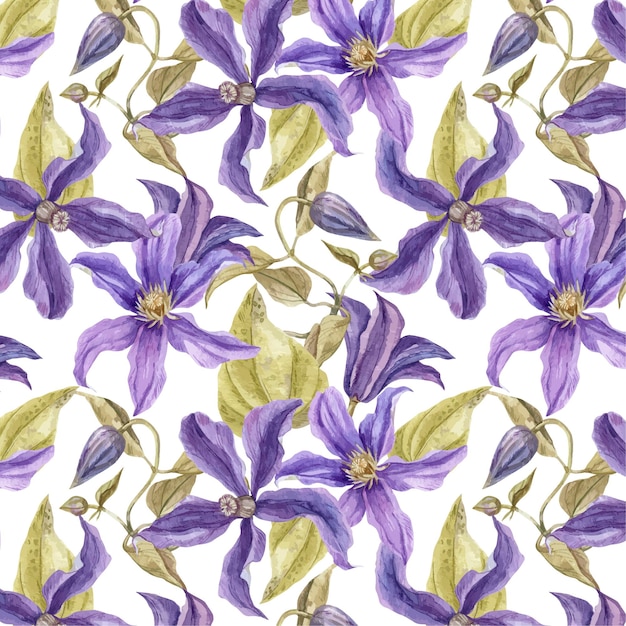 Vector watercolor clematis pattern