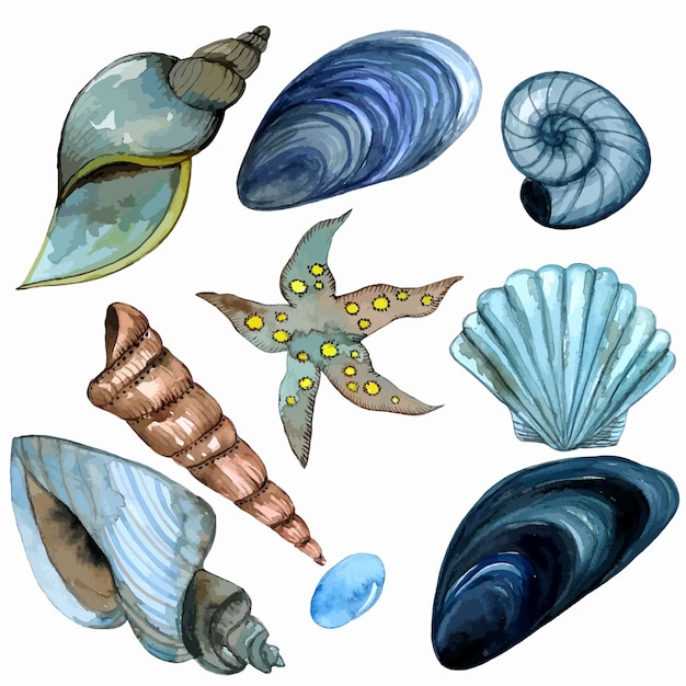 Watercolor clip art seashells stickers