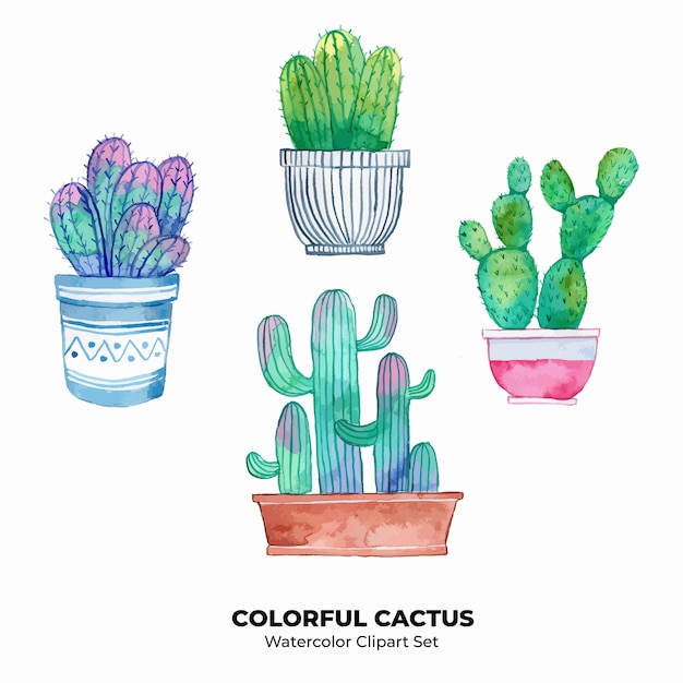  Watercolor Clipart Colorful Cactus Illustration Set