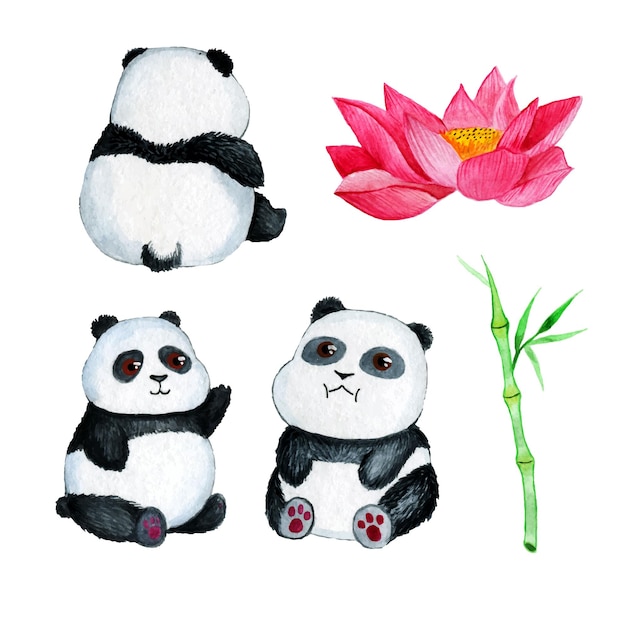 Watercolor clipart pandas Cute Asian bears and bamboo