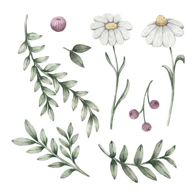 Vector watercolor clipart with images of various plants