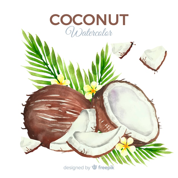 Watercolor coconut background