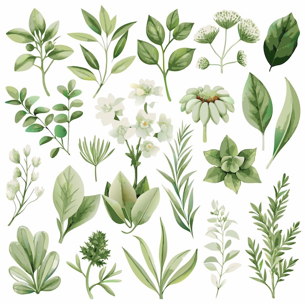 watercolor collection of botanical green leaves and floral elements in various natural shades