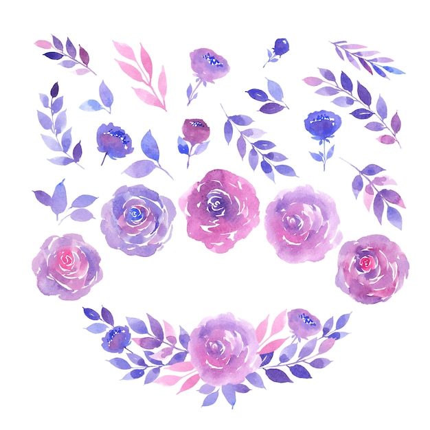 Collezione di acquerelli di rose viola e rosa, ramoscelli e foglie