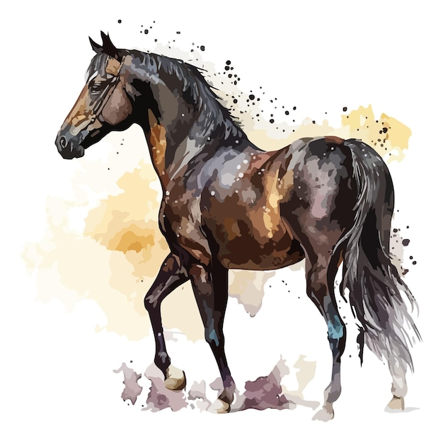 Watercolor Colorful Aramian Horse Vector