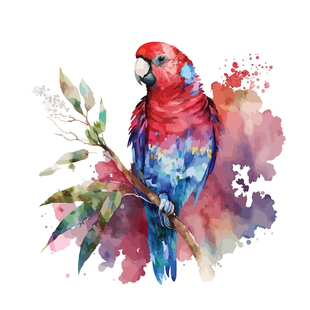 watercolor colorful bird vector