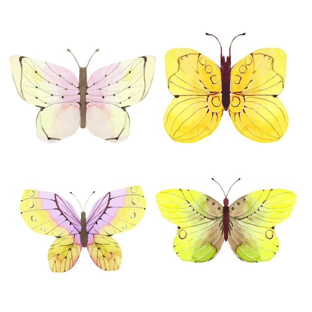 watercolor colorful butterflies illustration