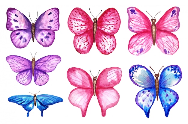 Watercolor  colorful butterflies, isolated on white background. blue, pink and violet butterfly spring illustration.