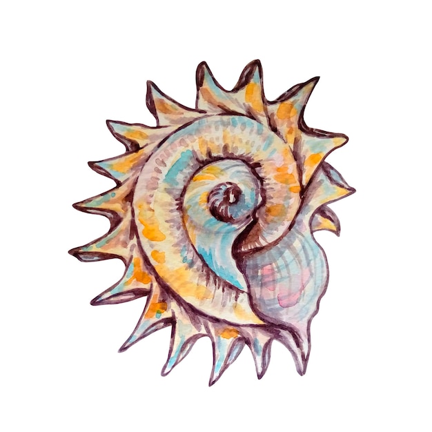 수채화 다채로운 조개 손으로 그린 그림