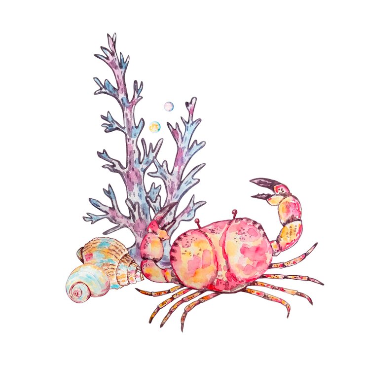 Vector watercolor colorful underwater life illustration