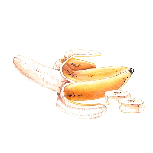 Watercolor composition of bananas