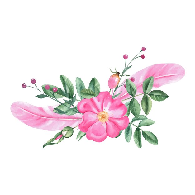 Vector watercolor composition from dog rose flowers leaves buds and pink feathers isolated on white