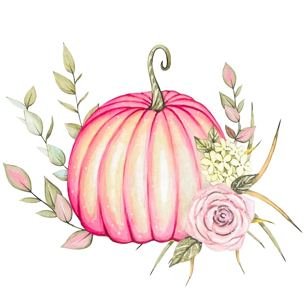 Watercolor composition Hand painted pumpkin Botanical illustration for design print or background