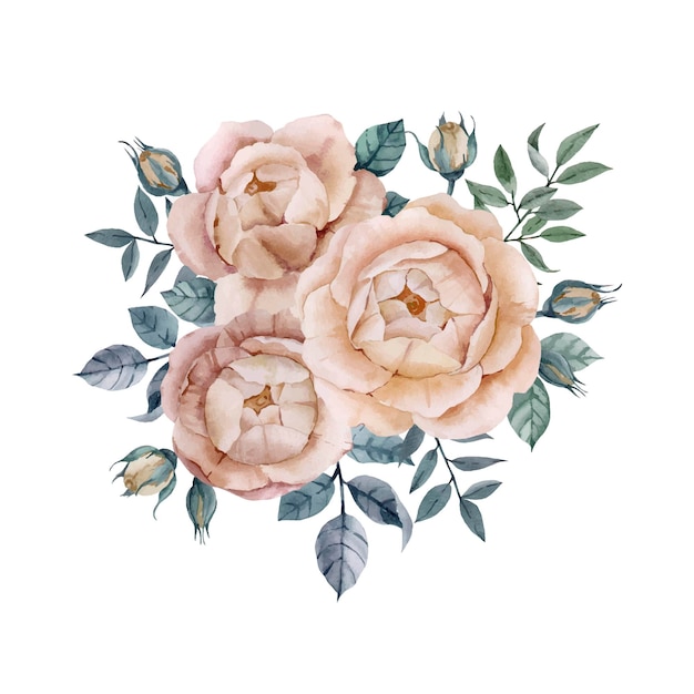 Vector watercolor composition of roses and branches