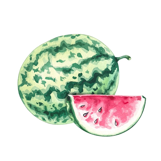 Watercolor composition of watermelon with a piece of watermelon