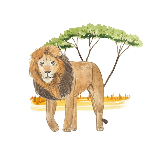 Vector watercolor composition with lion in savannah tropical design