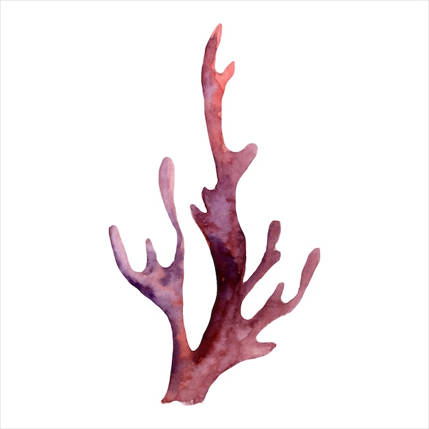 수채화 산호 는 고립 된 색 배경 에 있는 산호초 의 손 으로 그려진 일러스트레이션