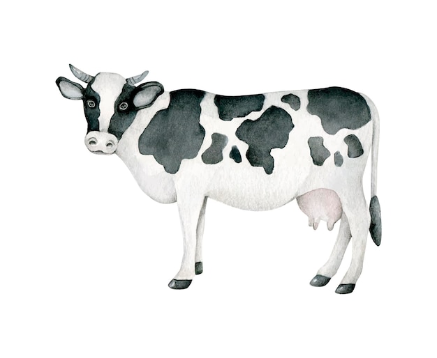 watercolor cow