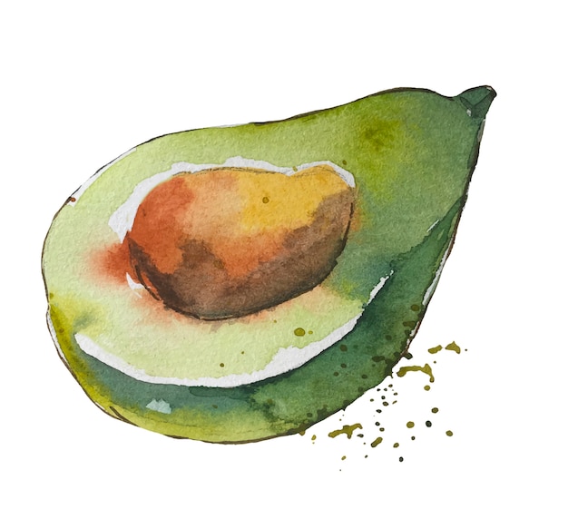 Vector watercolor creative green avocado with spots.