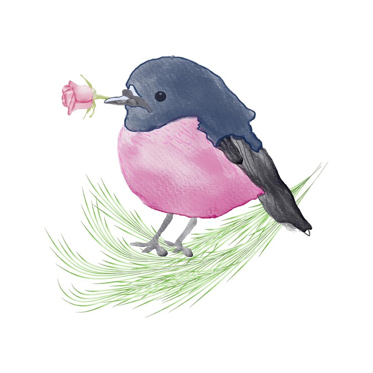 Vector watercolor cute bird hand drawn illustration