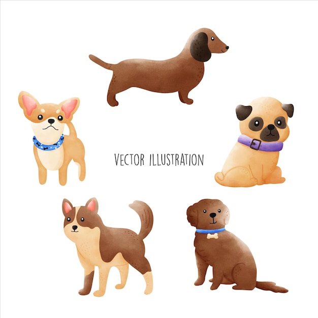 Vector watercolor cute birthday dog vector illustrationxa