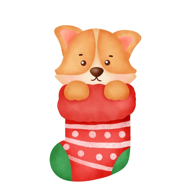 Акварель милый мультфильм собака корги с носком для рождественской открытки.