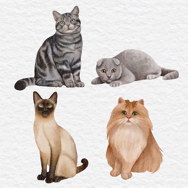 Watercolor cute cat element clip art