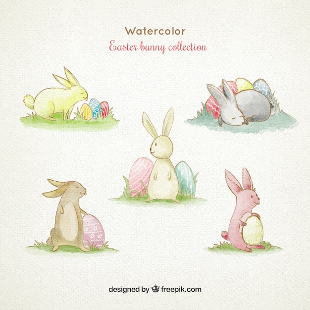 Watercolor cute easter bunny collection