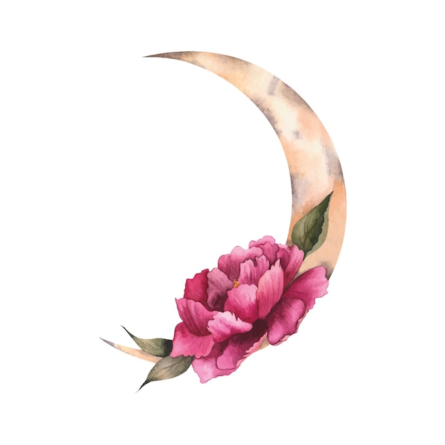 Watercolor cute moon with peony flower