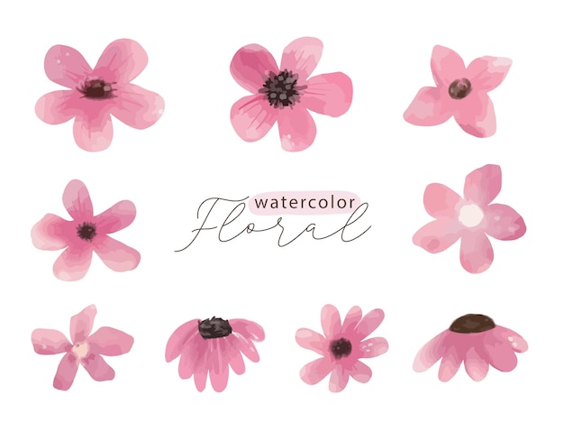 Watercolor cute pink floral element set of wildflowers herbs leaf branches isolated botanical