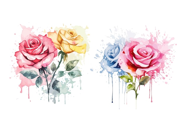 Watercolor dahlia flowers Vector