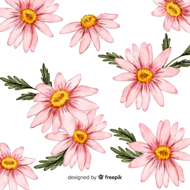 Watercolor daisy flowers and leaves background