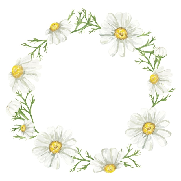 Watercolor daisy wreath chamomile frame