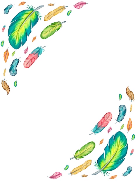 Vector watercolor decoration with colourful feathers