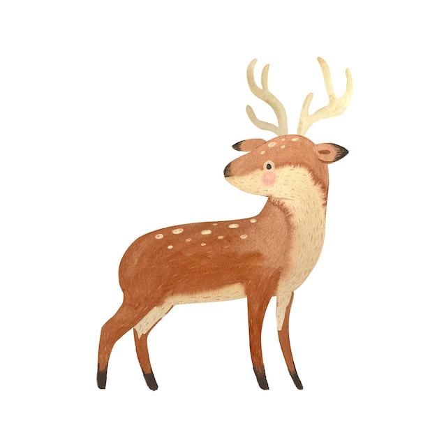 Watercolor deer illustration for kids