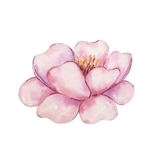 Акварель нежный розовый цветок, выделенный для оформления приглашения