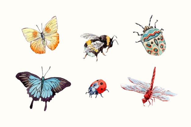 Vector watercolor different insects collection