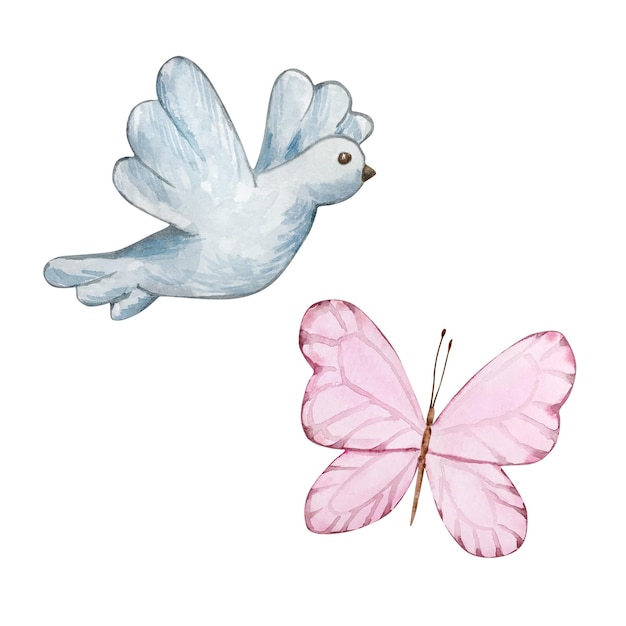 수채화 비둘기 와 나비