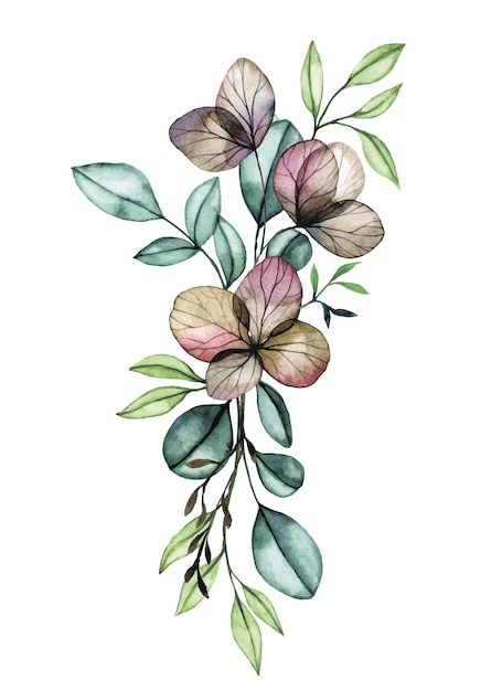 투명한 유칼립투스 잎과 말린 수국 꽃의 수채화 그리기 꽃다발 구성