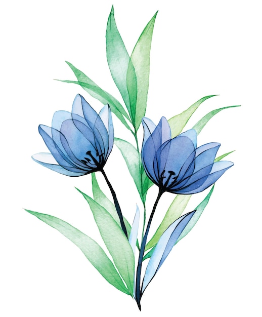 watercolor drawing bouquet composition of transparent flowers and leaves blue flowers tulips