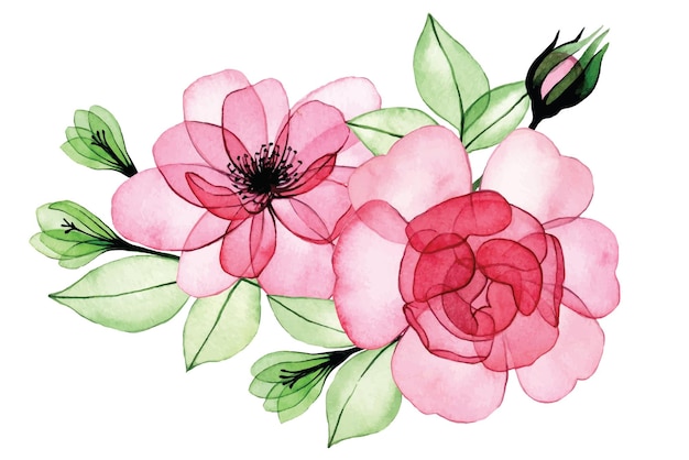 Disegno ad acquerello. bouquet, composizione di fiori trasparenti e foglie di rosa. radiografia rosa rosa