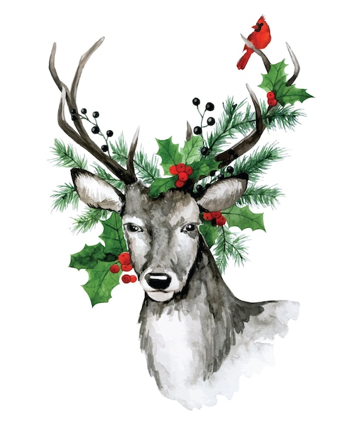 watercolor drawing, christmas card. Deer with spruce branches and holly leaves on the antlers.