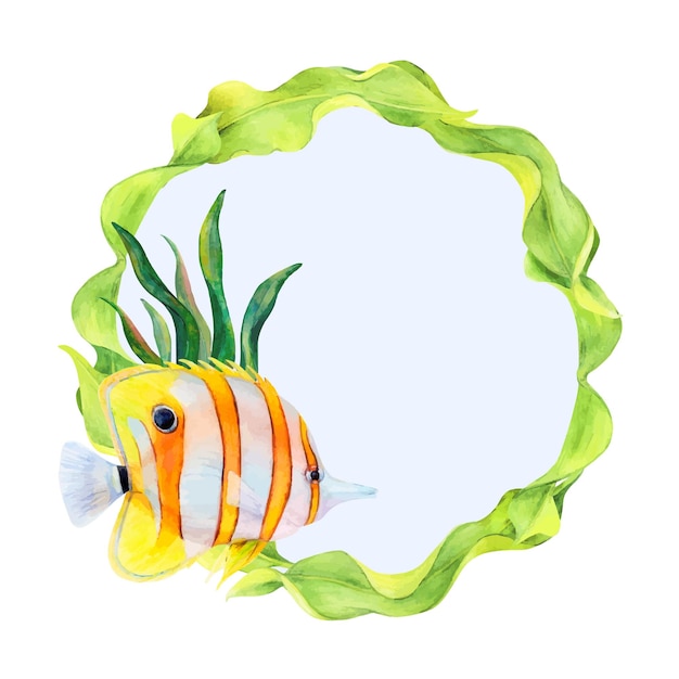 Vector watercolor drawing circle frame from curved ribbon algae and butterfly fish isolated on white