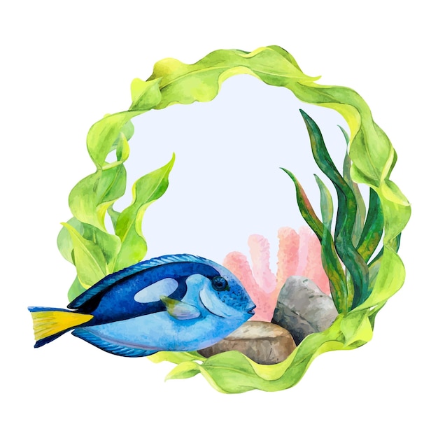 Vector watercolor drawing circle frame from curved ribbon algae coral bottom stones and surgeon fish