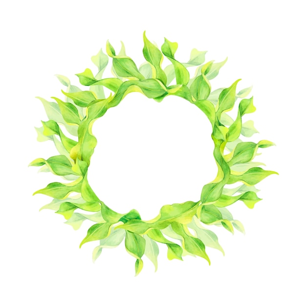 Watercolor drawing circle frame from ribbon algae wobling underwater isolated on white background